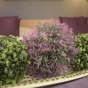 https://gastehaus-waldeck.saalbachhinterglemmhotels.com
